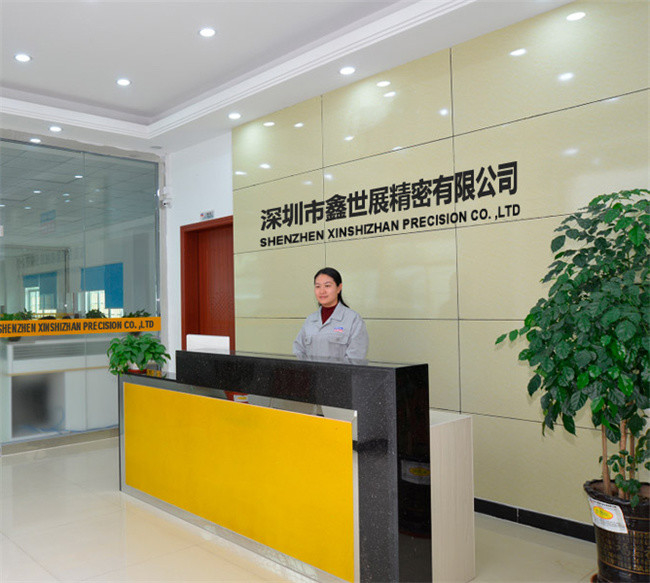 চীন Xinshizhan Precision Co., Ltd. সংস্থা প্রোফাইল