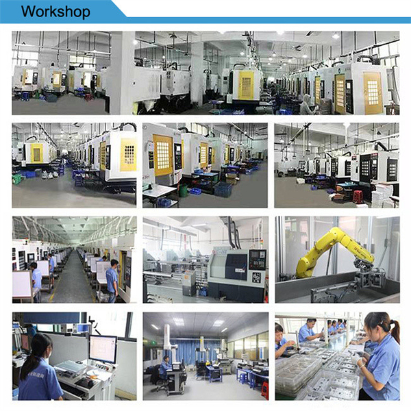 চীন Xinshizhan Precision Co., Ltd. সংস্থা প্রোফাইল